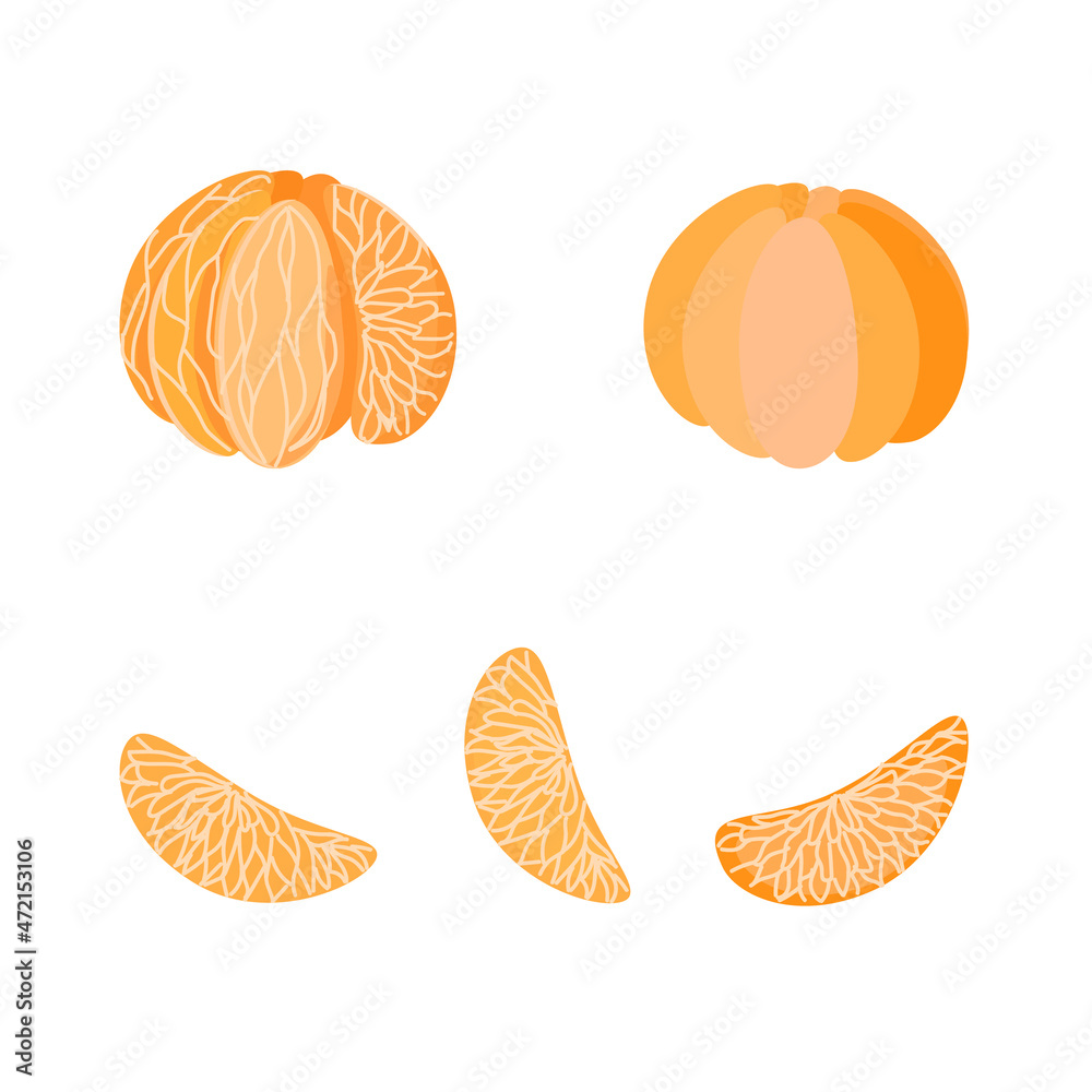 A set of tangerine whole,slices,peeled,isolated on a white background.Vector citrus can be used in textiles,juice packs, cosmetics, postcards, labels. A set of tangerine whole,slices,peeled,isolated on a white background.Vector citrus can be used in textiles,juice packs, cosmetics, postcards, labels.