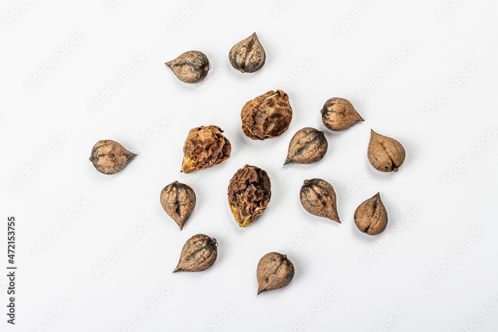 Ripe Juglans cordiformis Maxim or heart-shaped walnut isolated on white background