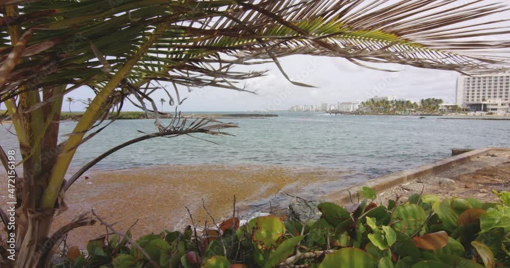 Overlooking hotel high rises across Boqueron Bay, San Juan, Puerto Rico. Palm sways in foreground. Overlooking hotel high rises across Boqueron Bay, San Juan, Puerto Rico. Palm sways in foreground.