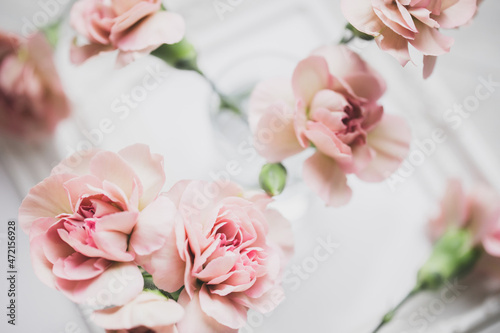 カーネーション ピンクの花の背景 母の日 結婚式