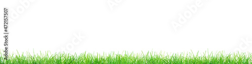 green grass isolated on white background illustration