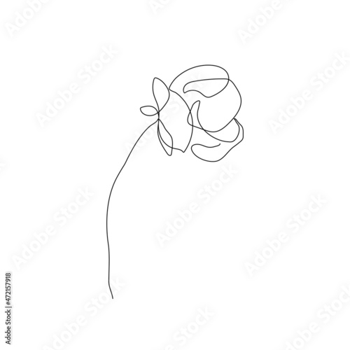 Continuous Line Drawing Of Flower Black Sketch Isolated on White Background. Simple Flower One Line Illustration. Minimalist Botanical Drawing. Vector EPS 10.
