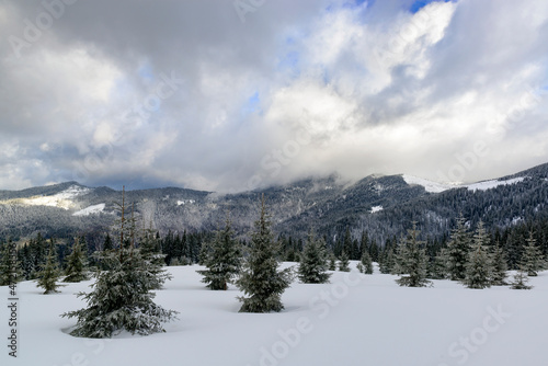 Winter day in a snowy mountains © Mny-Jhee