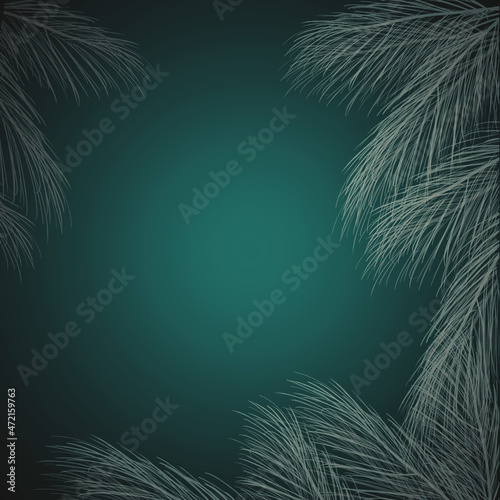 palm tree background on gredient black and green back drop.