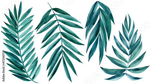 Watercolor painting blue set of coconut, palm leaf, tropical leaves isolated on white background. 