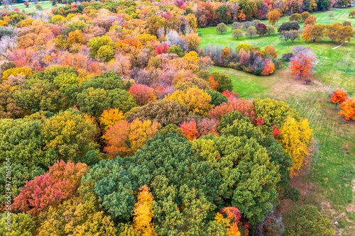 Fall colors on display at Detroit's Palmer Park. 