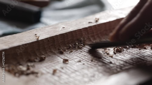 woodcarving. a woodcarver processes a oak wood board with a chisel. woodworking process with hand tools in a carpentry workshop