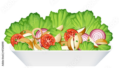 Healthy meal with fresh vegetable salad bowl