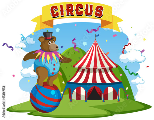 Circus bear performance balancing on ball