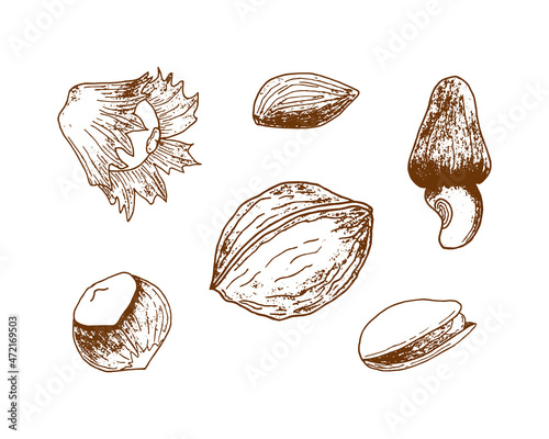 Set of nuts imprint stamp pistachio hazel walnut almonds, hand drawing print, outline, silhouette. Isolated, white background. Vector illustration