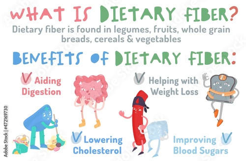 What is dietary fiber. Benefits. Healthcare, anatomy, medicine image.