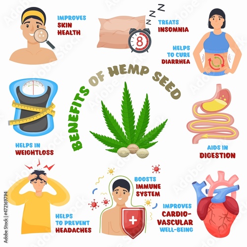 Hemp seeds benefits. Medical cannabis, marijuana leaves for wellness. Healthcare and cannabidiol, vector illustration