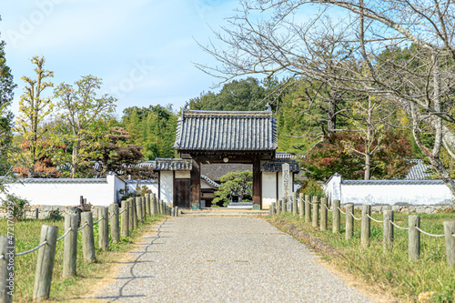 秋の備中国分寺　岡山県総社市　Autumn Bitchū Kokubunji. Okayama-ken Souja city photo