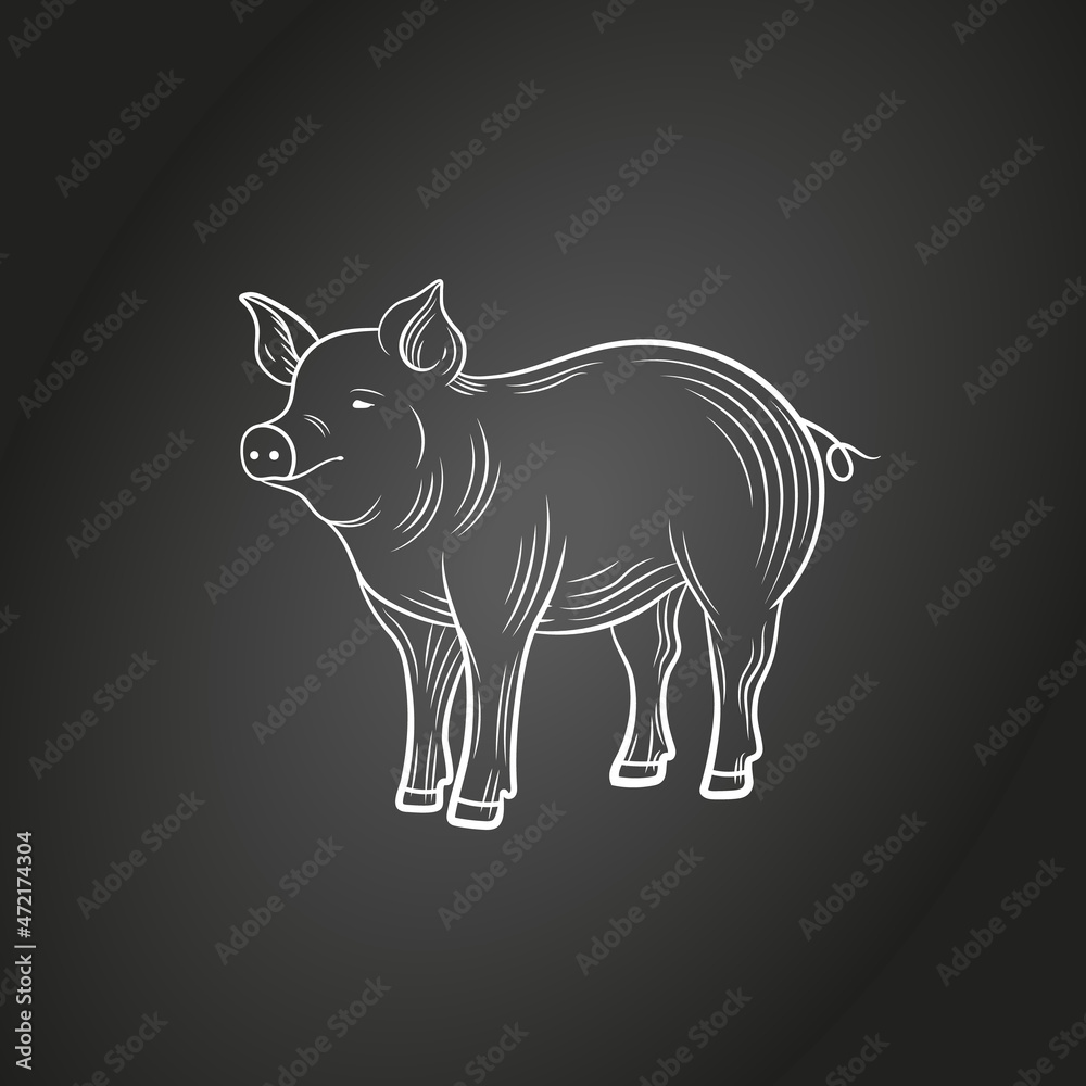 chalk drawn pig isolated on black background, engraving style, illustration of farm animal. chalk drawn pig isolated on black background, engraving style, illustration of farm animal.