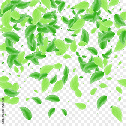 Greenish Leaves Background Transparent Vector. Plant Cosmetic Card. Food Design. Green Environment Frame. Sheet Decor.