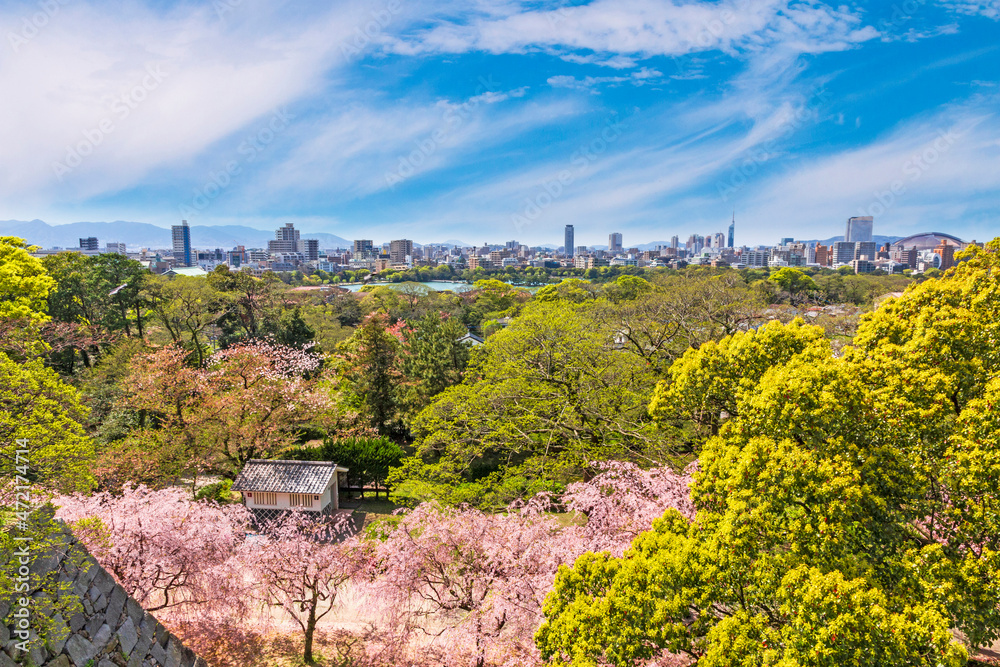 The Fukuoka city panoramic view from the observation of  Maizuru Park, Fukuoka, Japan.