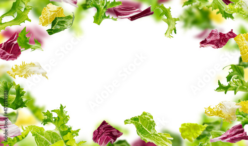 Healthy food background, frame of salad leaves 