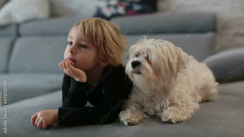 Cute blond child, toddle boy, watching TV with his pet maltese dog at home Cute blond child, toddle boy, watching TV with his pet maltese dog at home