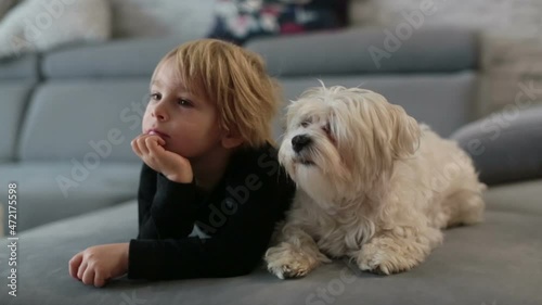 Cute blond child, toddle boy, watching TV with his pet maltese dog at home