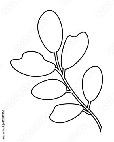 Hand drawn branch with leaves. Doodle vector illustration. Isolated icon on the white background. EPS 10. © Инна Бородулина