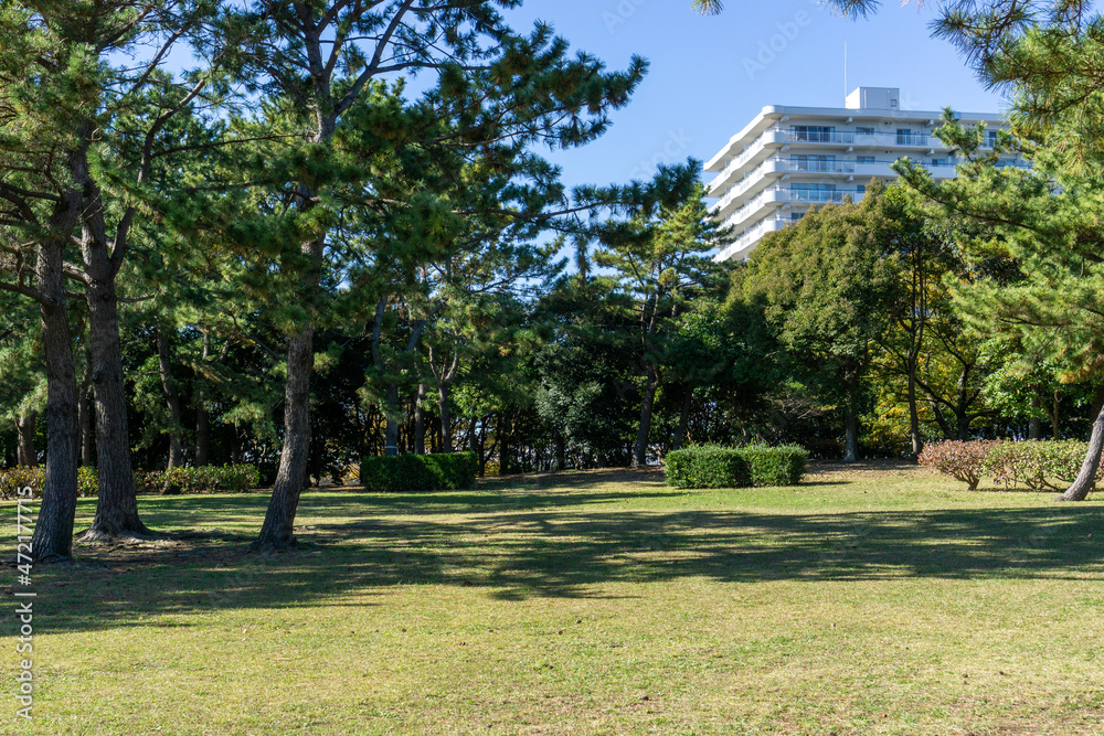 Fototapeta premium 神奈川県横浜市金沢区の海の公園