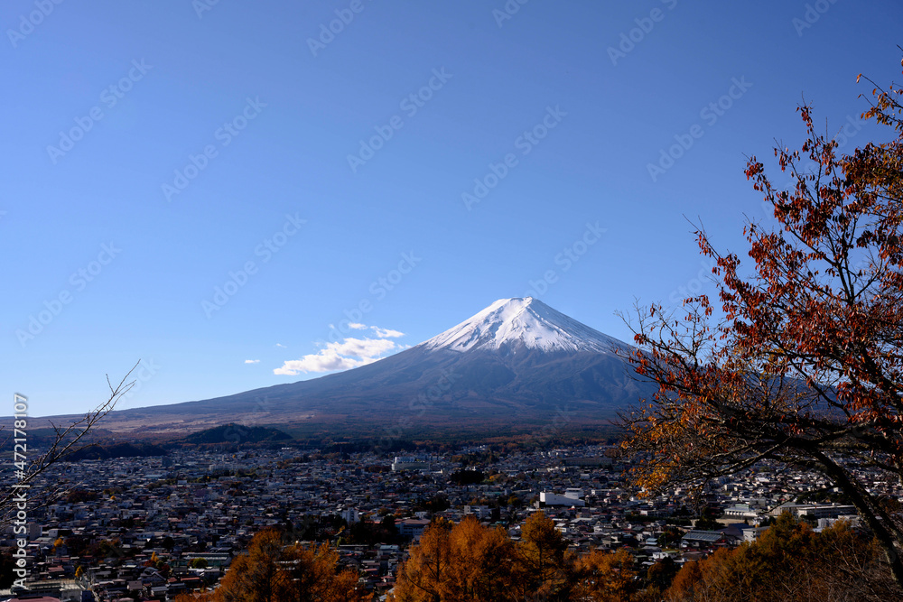 Fototapeta premium 紅葉