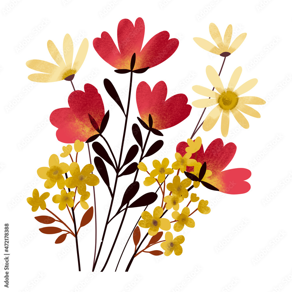 Bright flowers isolated on white background