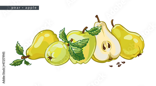 sketch_pear_apple_four_whole_fruits_half_and_leaves