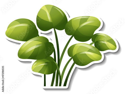 Tropical leaves brush sticker on white background