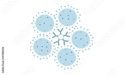 Antibodies IgM bind the virus to weaken its effect in the body.