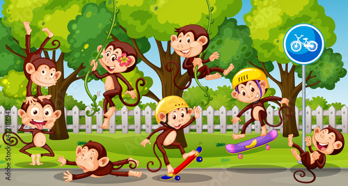 Little monkeys playing at the park