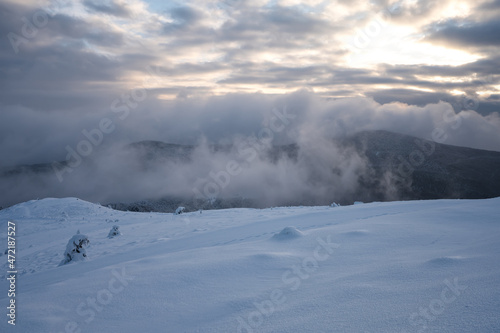 Beautiful winter landscape with snow-capped mountain peaks and frozen bushes on the ridge at sunrise.