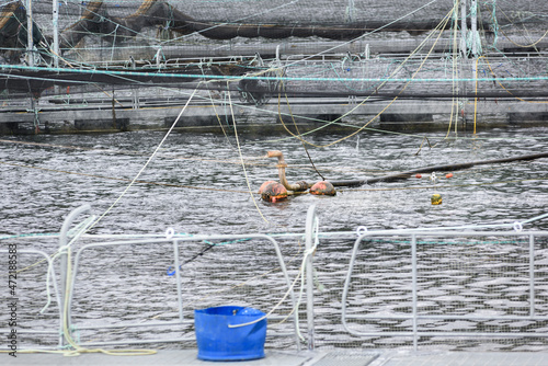 fish farm on Lake Linnhe in Fort William, Scotland.