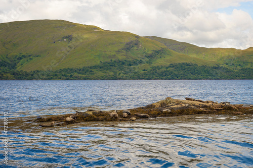 Seal islet on Lake Linnhe in Fort William, Scotland.