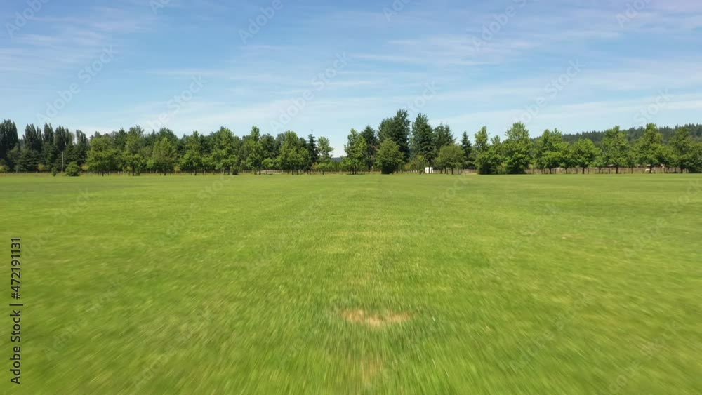 Flying through the sky over trees and pastures after running fast and low through the park Flying through the sky over trees and pastures after running fast and low through the park
