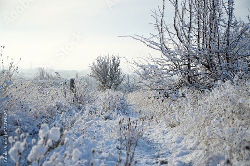 Overgrown farm track covered in soft snow © simonXT2