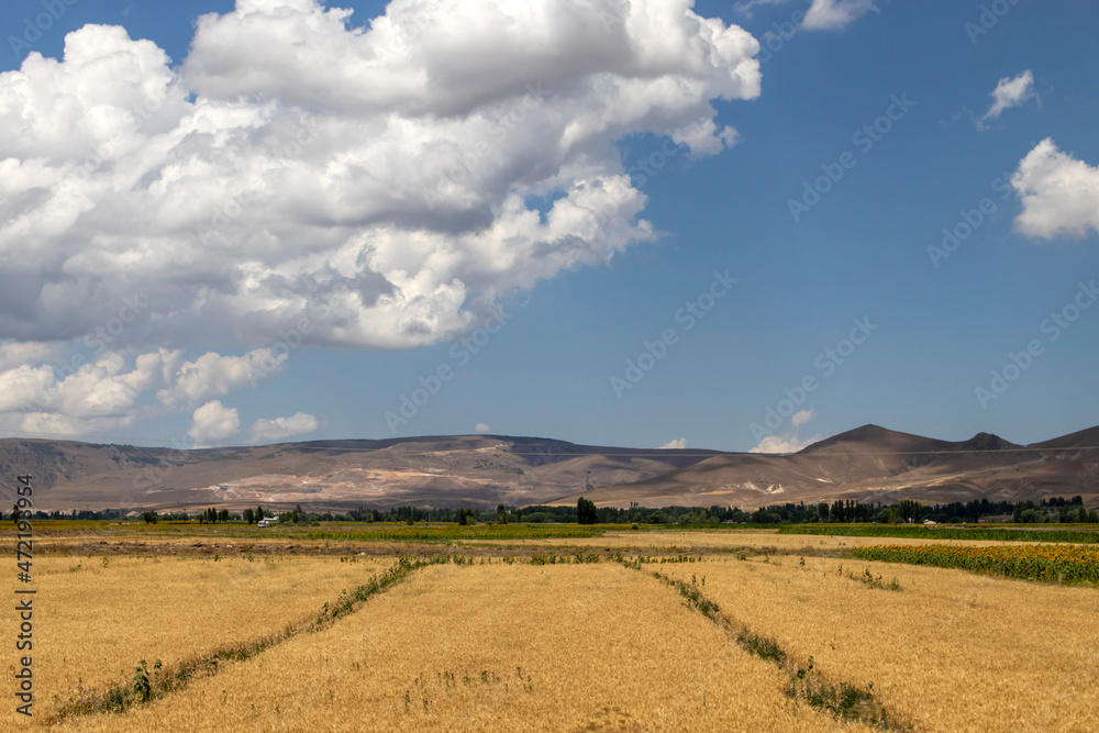landscape with clouds landscape with clouds