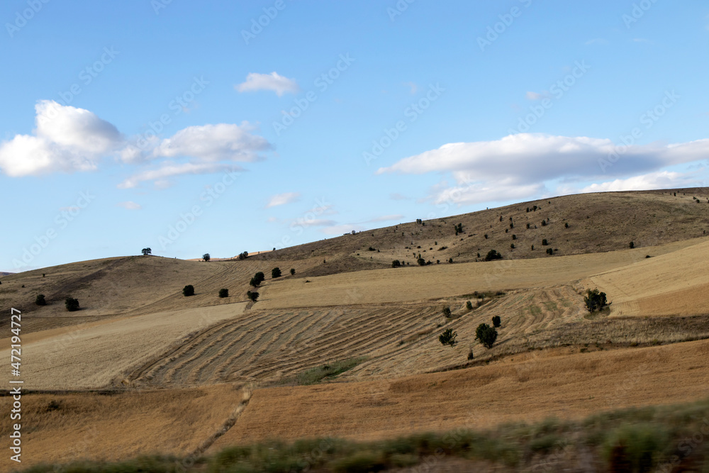 Obraz premium landscape of region country