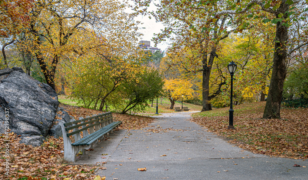 Autumn in Central Park landscape