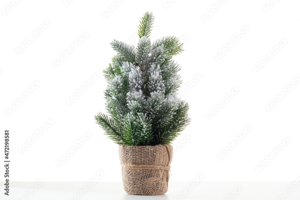 Christmas tree in a pot on a white background Christmas tree in a pot on a white background