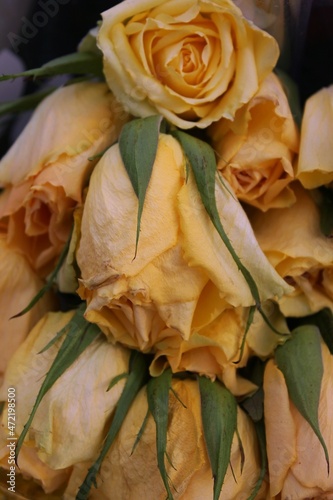 bouquet of wilted yellow roses