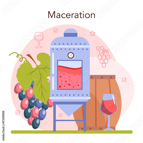 Wine production. Red and rose wine maceration. Alcohol drink characteristics