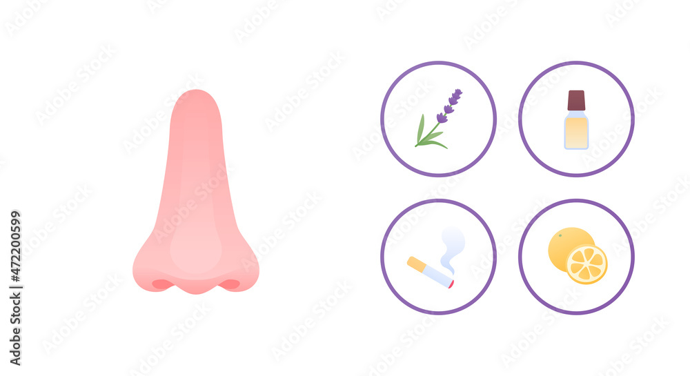 Human sense and perception concept. Vector flat icon illustration. Nose, smoking, aroma and lemon smell symbol isolated on white background. Human sense and perception concept. Vector flat icon illustration. Nose, smoking, aroma and lemon smell symbol isolated on white background.