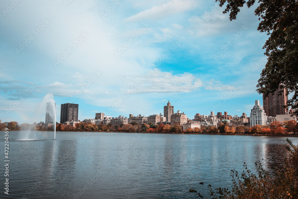 Fototapeta premium central park