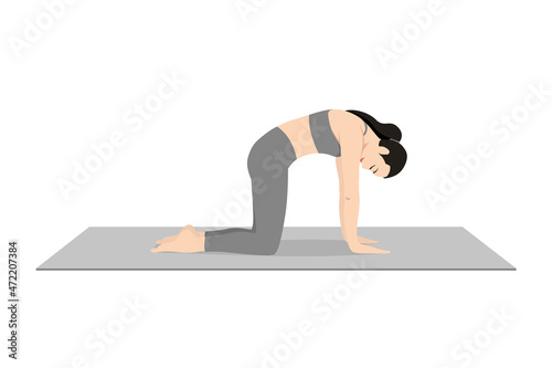 Cat Pose, Beautiful girl practice Marjaryasana. Young attractive woman practicing yoga exercise. working out, black wearing sportswear, grey pants and top, indoor full length, calmness and relax. photo