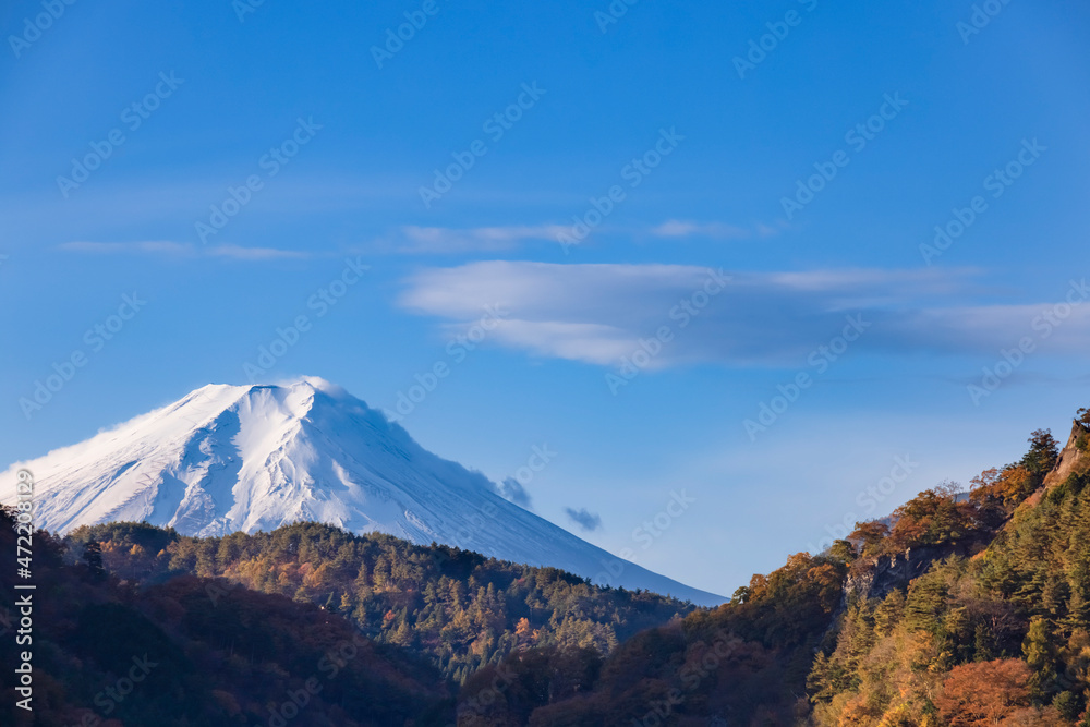 紅葉した木と富士山と風に流れる白い雲