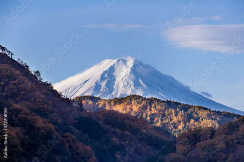 紅葉した木と富士山と風に流れる白い雲