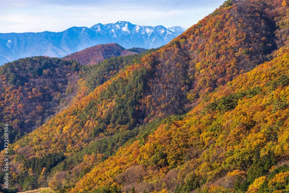 美しい山と紅葉した木 美しい山と紅葉した木