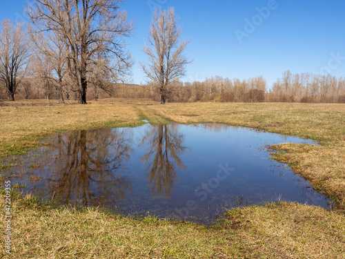 Early spring. Beautiful spring rural landscape. A large puddle of water.