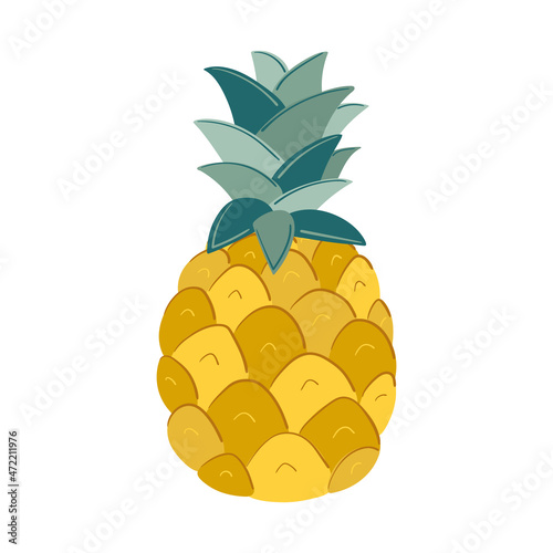Hand drawn colorfull pineapple fruit